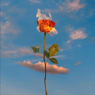 丛林大作战3.2.0